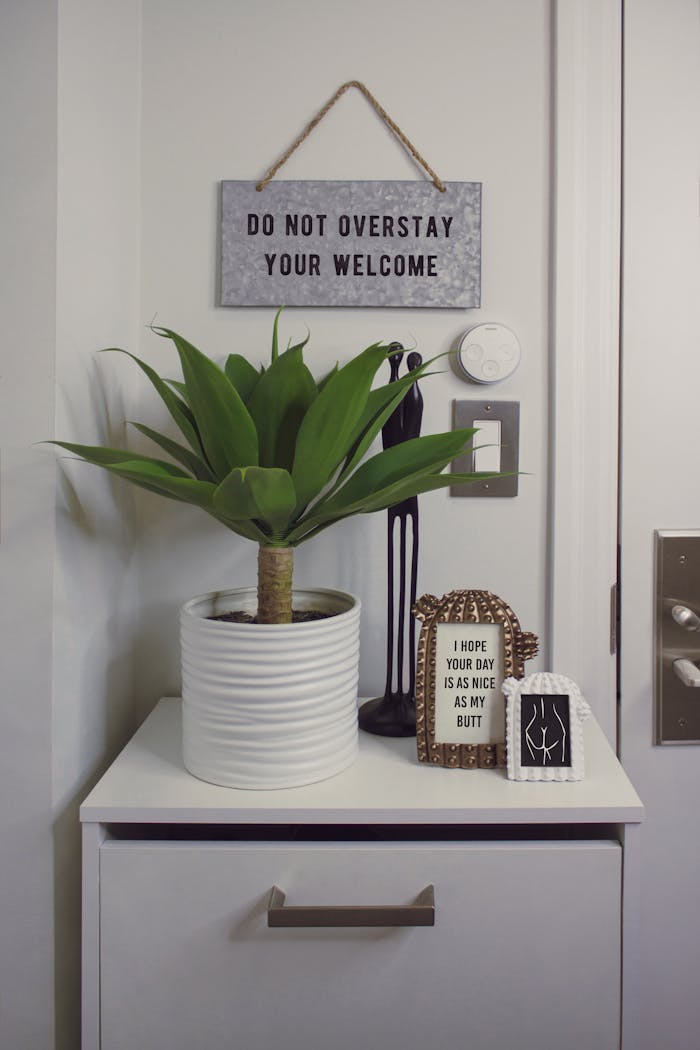 mobile-01 Modern home decor featuring a potted plant and humorous signs on a minimalist shelf.